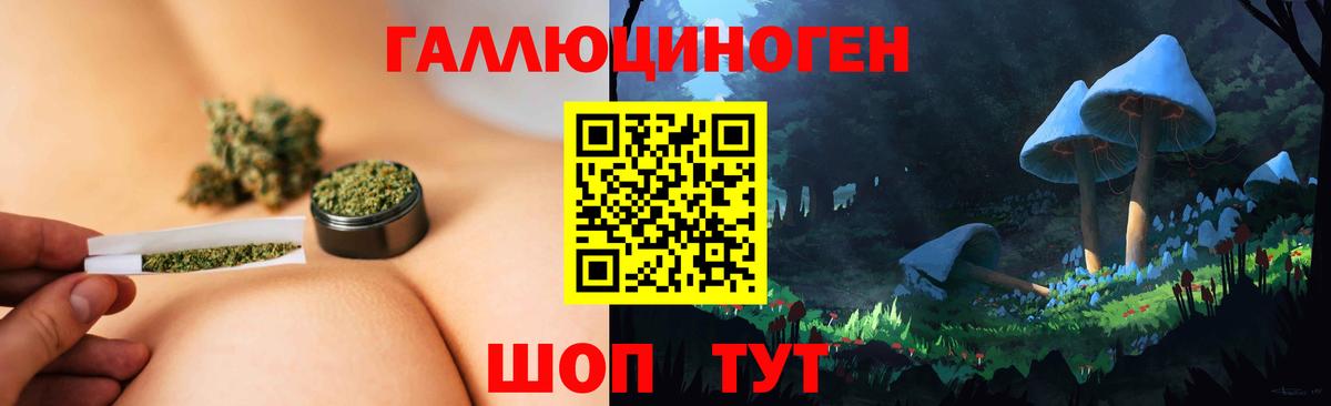 Муром  Галлюциногенные грибы Psilocybe  Вход с VPN 